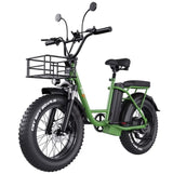 Electric Cargo Bike Fat Tire