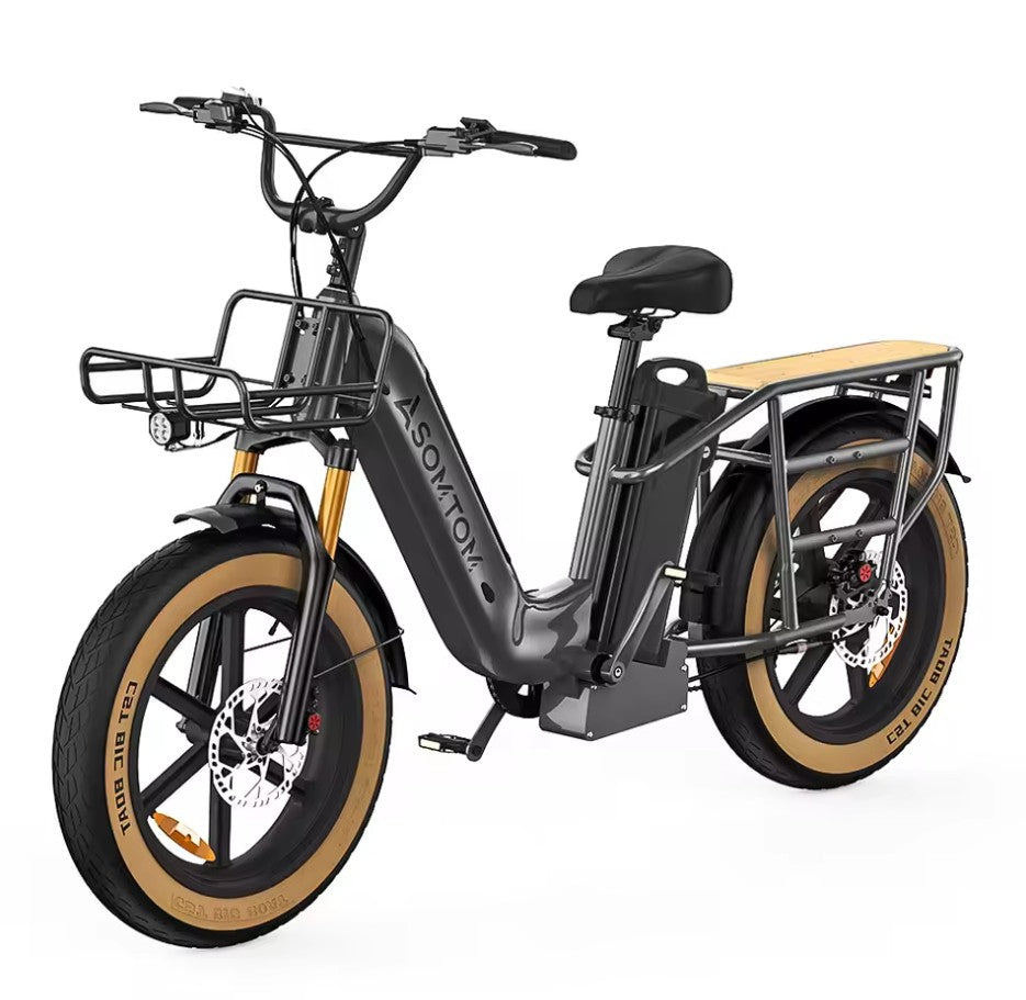 Multiple Shock Absorption Electric Cargo Bike