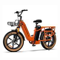 Bicicleta de carga eléctrica con múltiple absorción de impactos