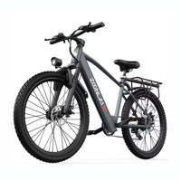 Bicicleta eléctrica ZL