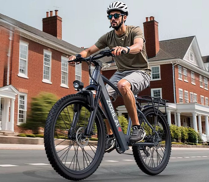 ZL Ebike